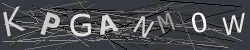 CAPTCHA Image Verification