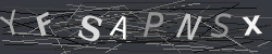 CAPTCHA Image Verification