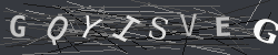 CAPTCHA Image Verification