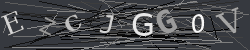 CAPTCHA Image Verification