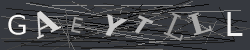 CAPTCHA Image Verification