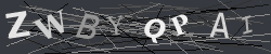 CAPTCHA Image Verification