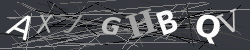 CAPTCHA Image Verification