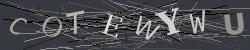 CAPTCHA Image Verification